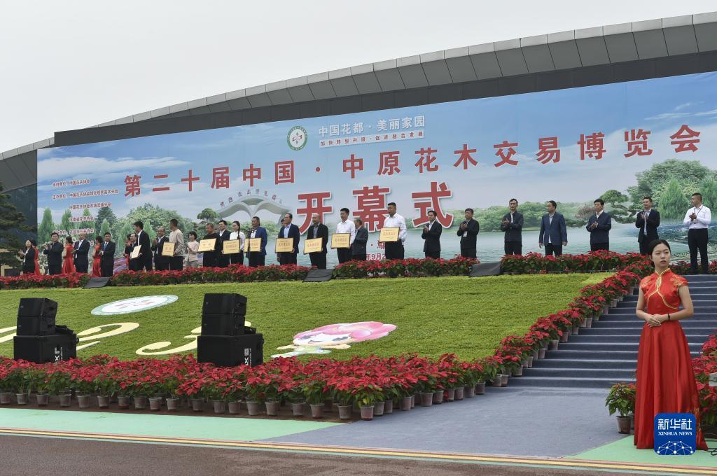 吉祥航空官网登陆